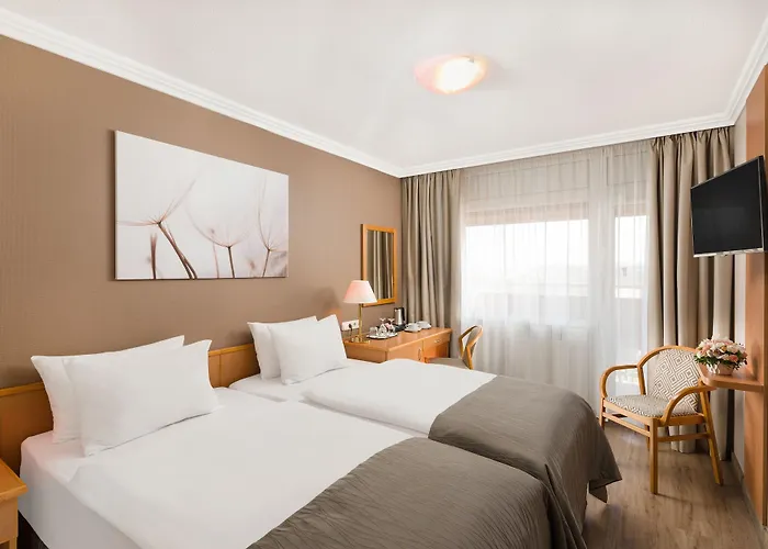 丹比乌斯阿瑞纳酒店 酒店 4*