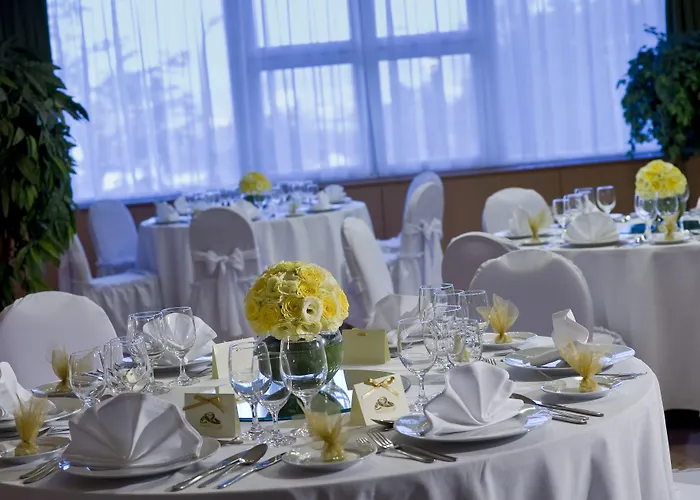 丹比乌斯阿瑞纳酒店 4* 布达佩斯